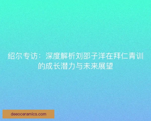 绍尔专访：深度解析刘邵子洋在拜仁青训的成长潜力与未来展望