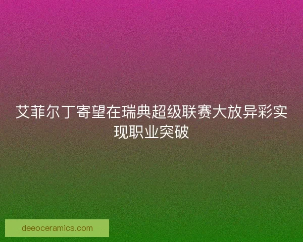 艾菲尔丁寄望在瑞典超级联赛大放异彩实现职业突破