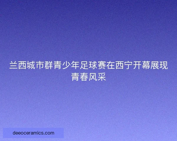 兰西城市群青少年足球赛在西宁开幕展现青春风采